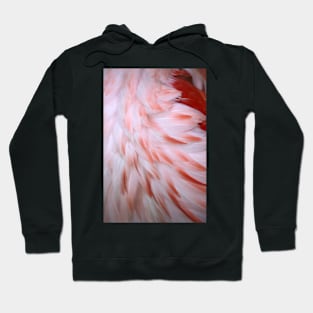 Flamingo #5 Hoodie